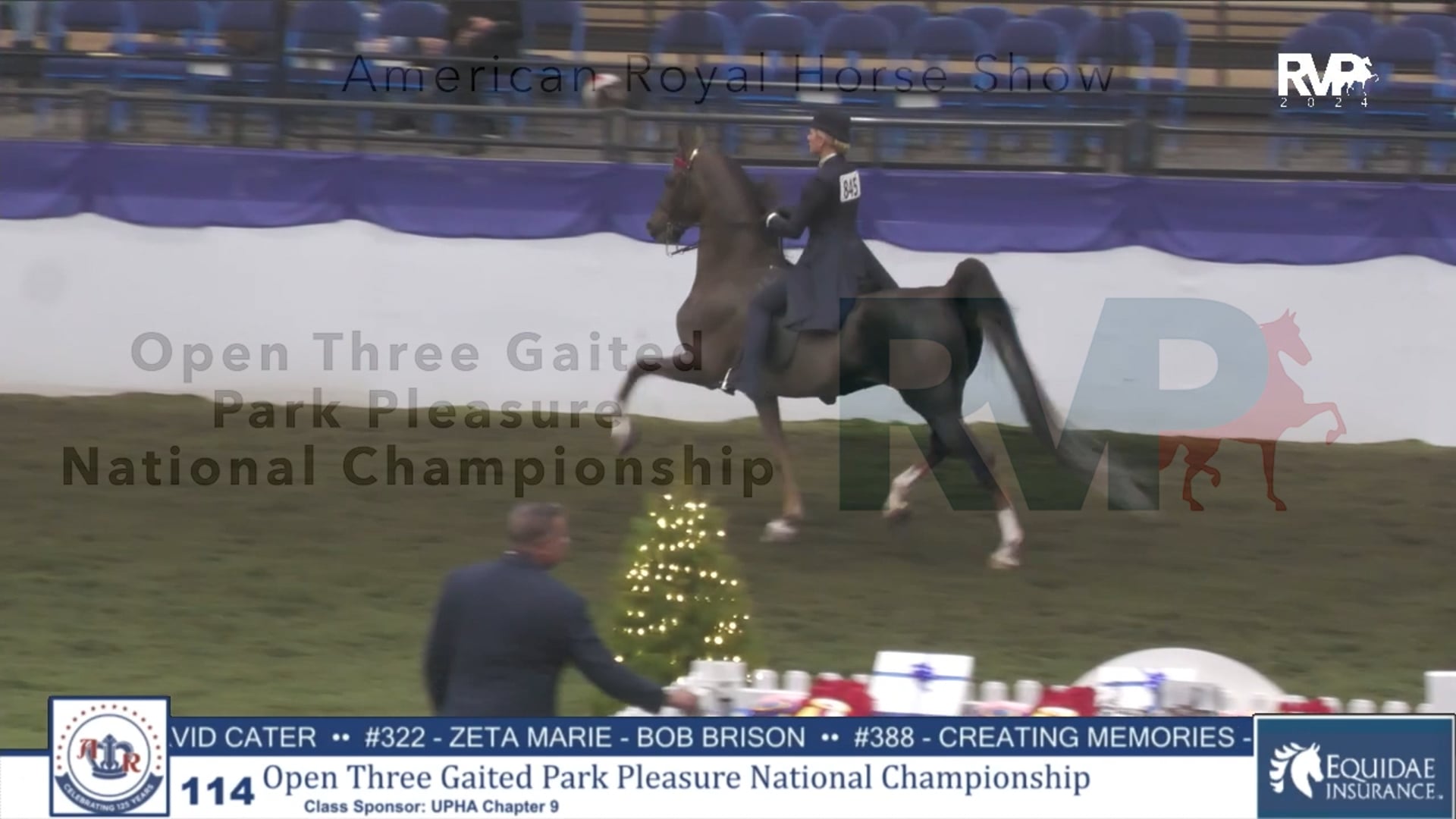 AR24 - Class 114 - Open Three Gaited Park Pleasure National Championship