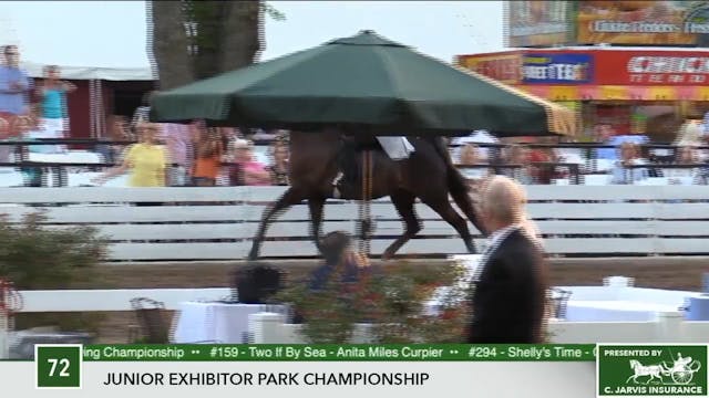 2017 RC - Class 72 Junior Exhibitor P...