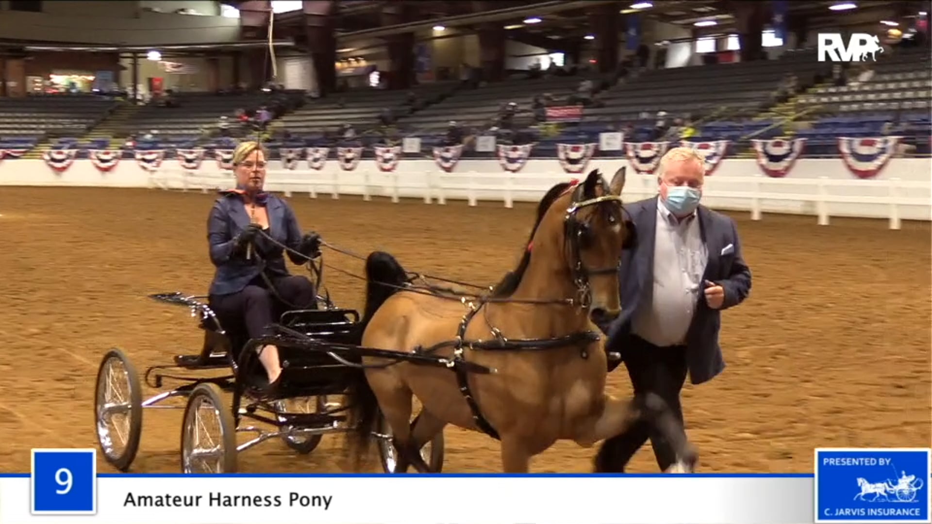 2020 BB - Class 9 Amateur Harness Pony