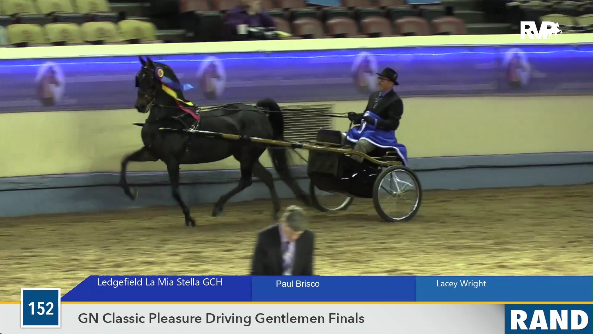 MGN19 - Ledgefield La Mia Stella - Class 152