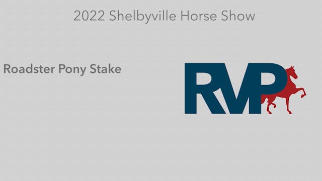 SHS22 - Class 38 -  Roadster Pony Stake