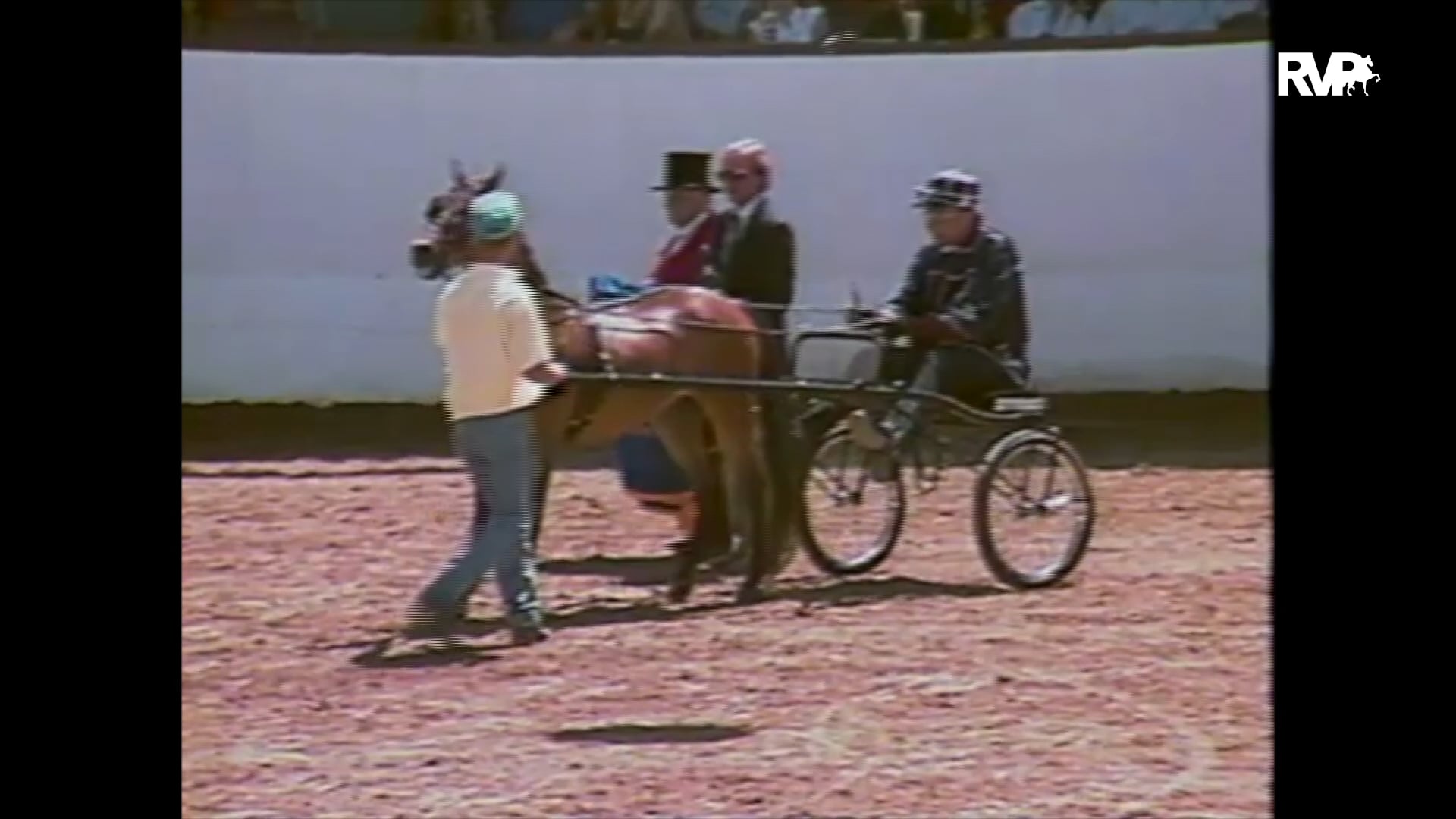 Looking Back at 1992 The Santa Barbara Horse Show