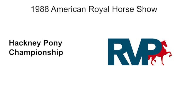 1988 AR - Class 88 Hackney Pony Champ...
