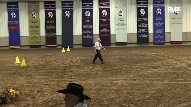 MGN15 - Sport Horse 1 - Thursday - 10...