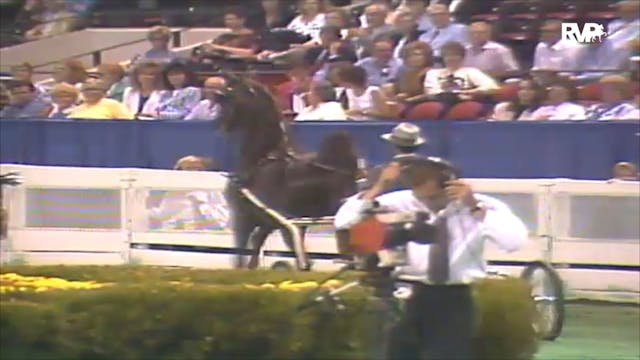 1992 WCHS Class 115 Fine Harness Mare...