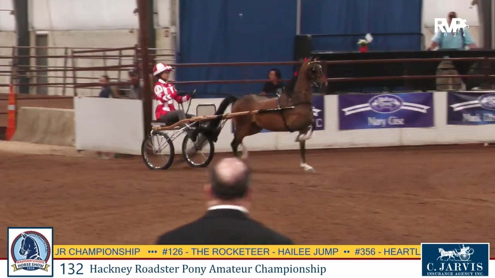 MC26 - Class 132 - Hackney Roadster Pony Amateur Championship