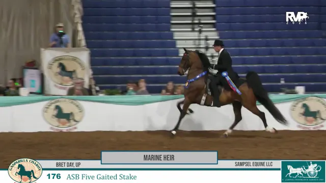 GC26 - Class 176 - Marine Heir and Br...