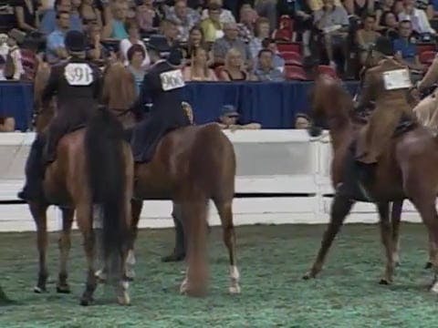 2008 WCHS Class 185 Adult Show Pleasu...