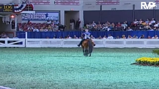 2009 World's Championship Horse Show ...