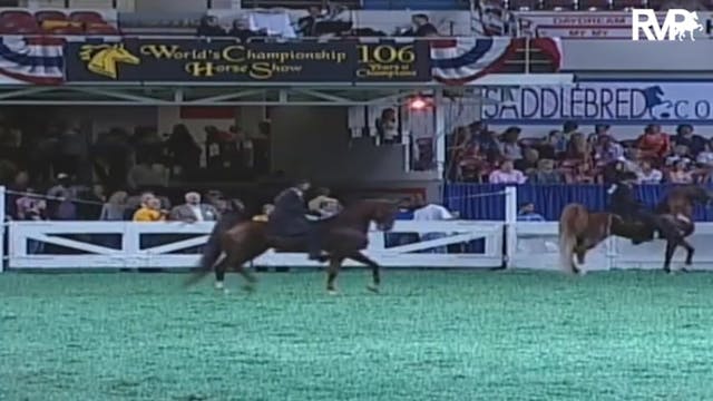 2009 World's Championship Horse Show ...