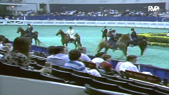 1991 WCHS Class 12 Kentucky County Fa...