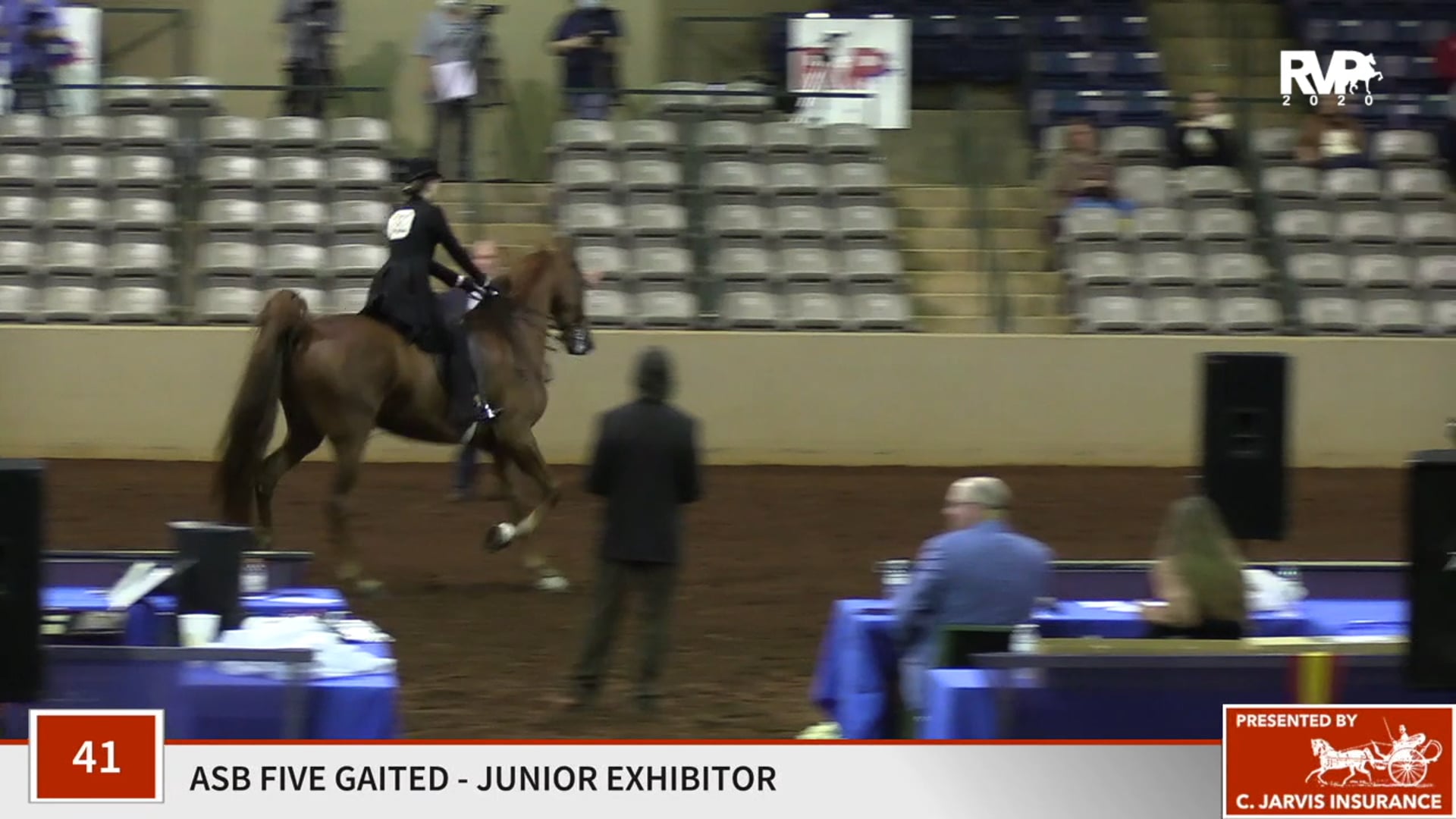 2020 SSFF - Class 41 ASB Junior Exhibitor Five Gaited