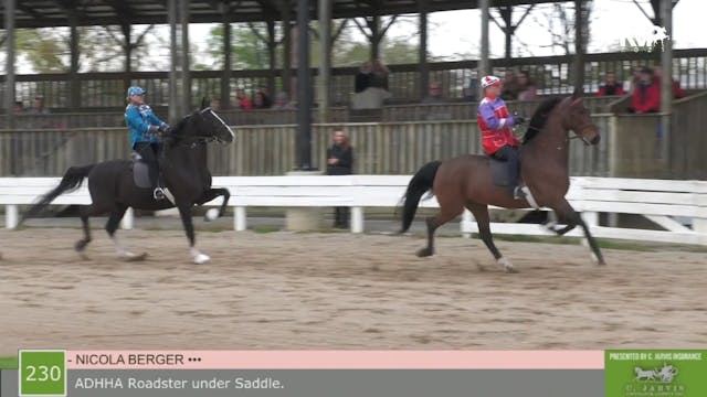 SB21 - Class 230 - ADHHA Roadster Und...