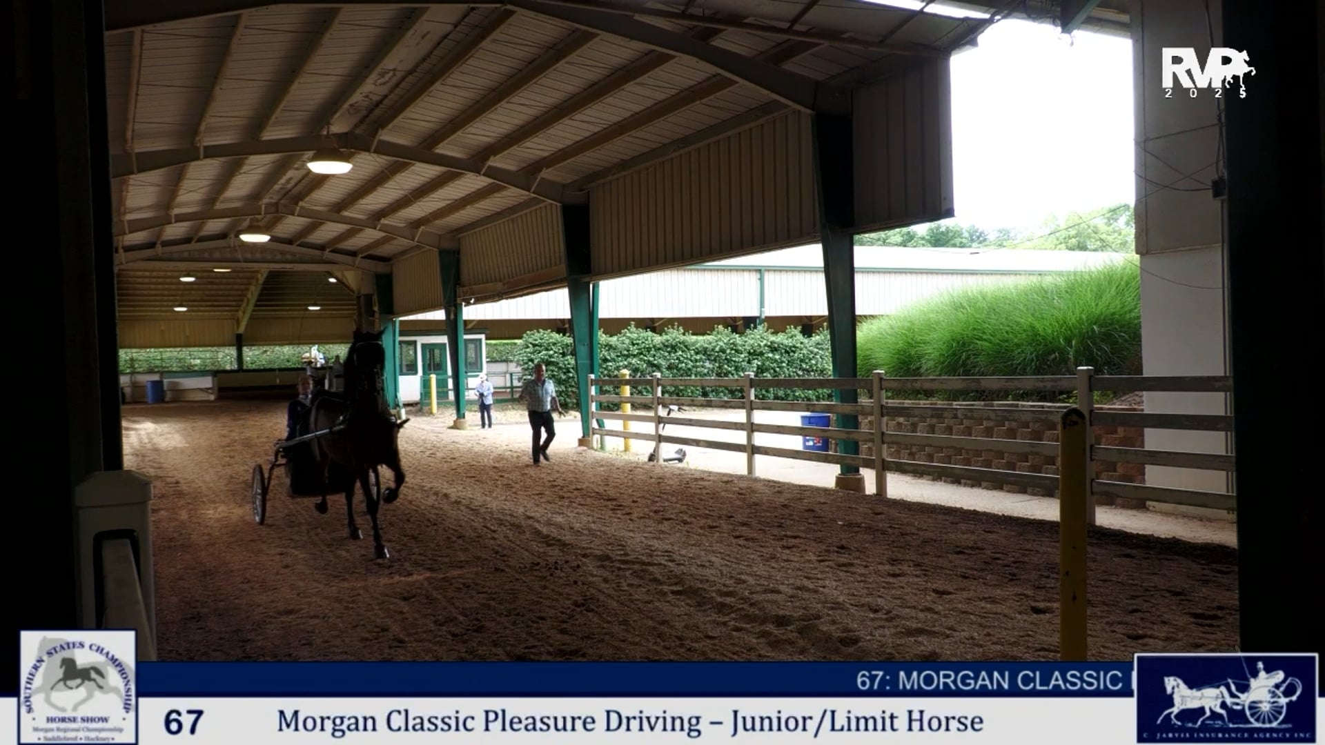SS25 - Class 67 - Morgan Classic Pleasure Driving Junior:Limit Horse