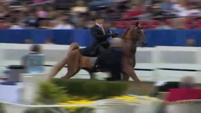2002 WCHS Class 188 Senior Equitation...