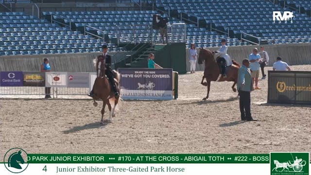 LJL25 - Class 4 - Jr Exhibitor Three ...