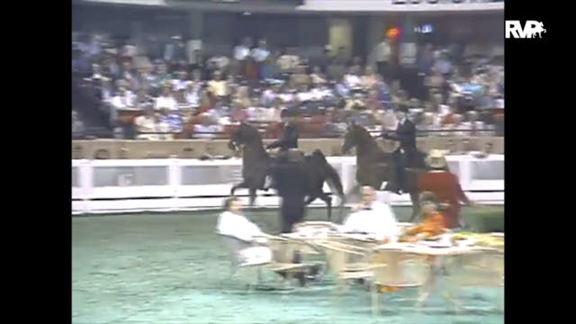 1988 WCHS Class 136 Junior Three Gait...