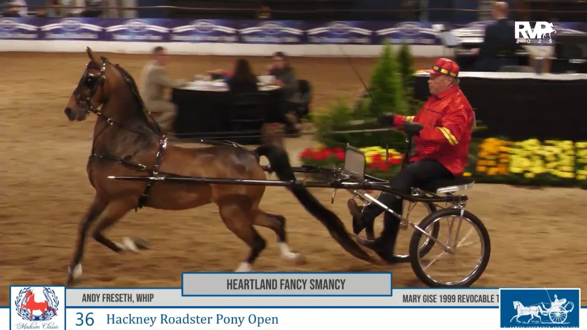 MC25 - Class 36 - Hackney Roadster Pony Open