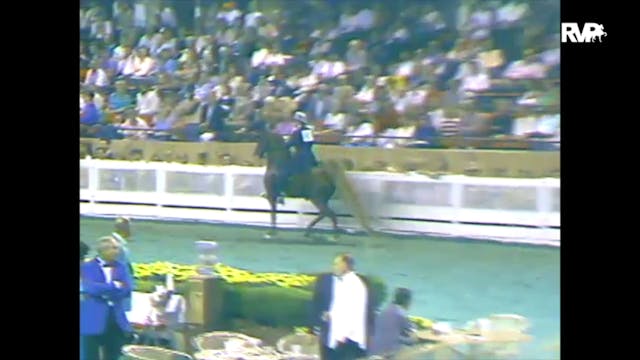 1988 WCHS Class 36 Five Gaited Stalli...