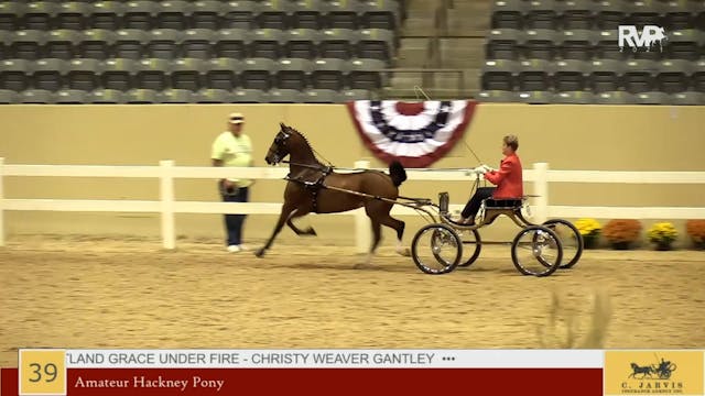 KYFC21 - Class 39 - Amateur Hackney Pony