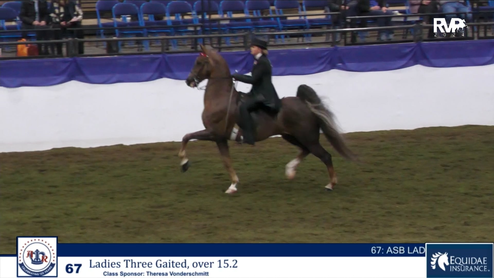 AR24 - Class 67 - Ladies Three Gaited Over 15.2