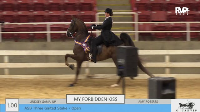 ASF22 - Class 100 - ASB Three Gaited ...
