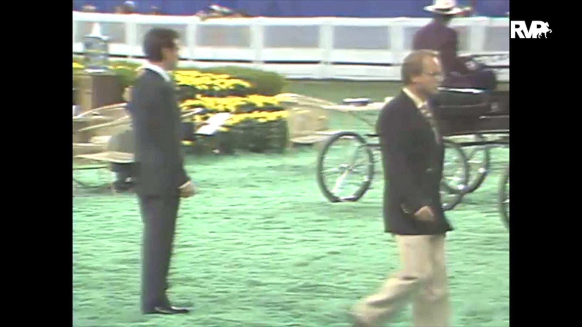 1993 WCHS Class 161 Three Year Old Fine Harness Mare Stake