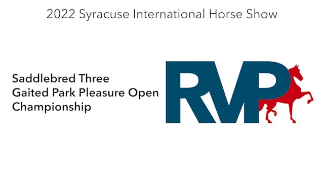 SI22 - Class 162 - Saddlebred Three G...
