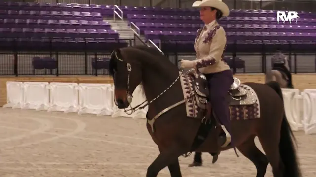 CC26 - Class 45 - Morgan Western Plea...