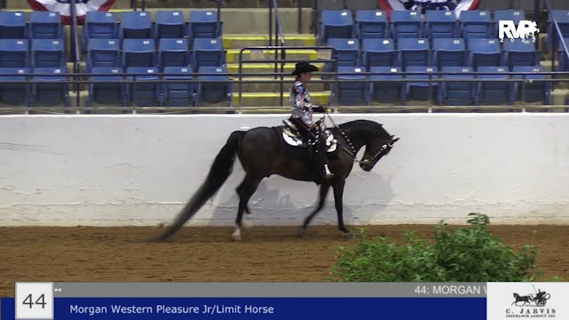 BB22 - Class 44 -  Morgan Western Ple...