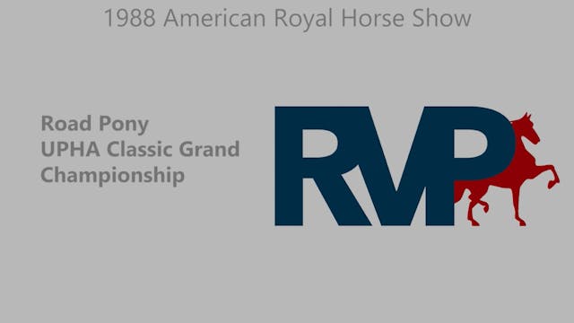 AR 1988 - Road Pony UPHA Classic Gran...