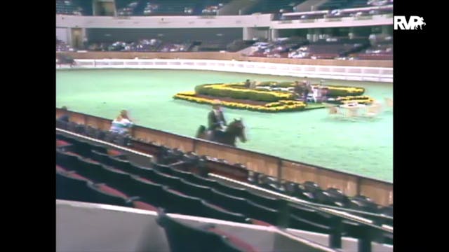 1989 WCHS Class 43 Equitation Open Ri...