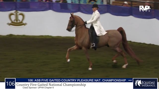 AR23 - Class 106 - ASB Five Gaited Co...