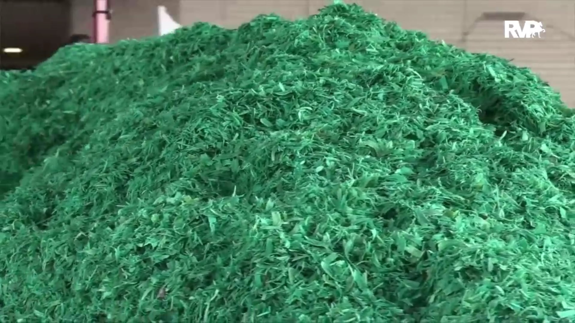 2020 World's Championship Horse Show - Sunday Afternoon - August 23