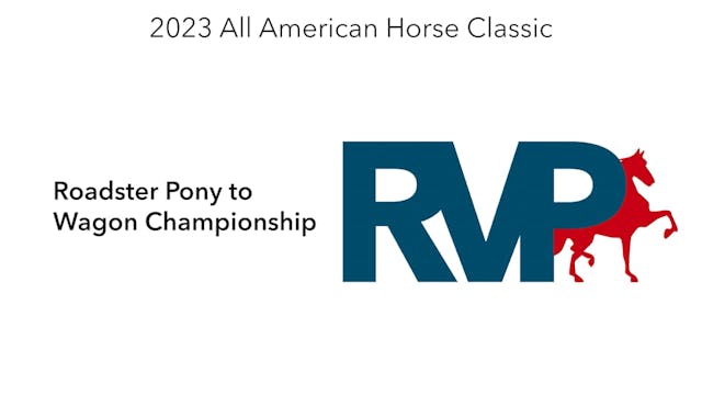 AAC23 - Class 157 - Roadster Pony to ...
