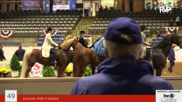 ASHAV22 - Class 49 - ASB Junior Exhib...