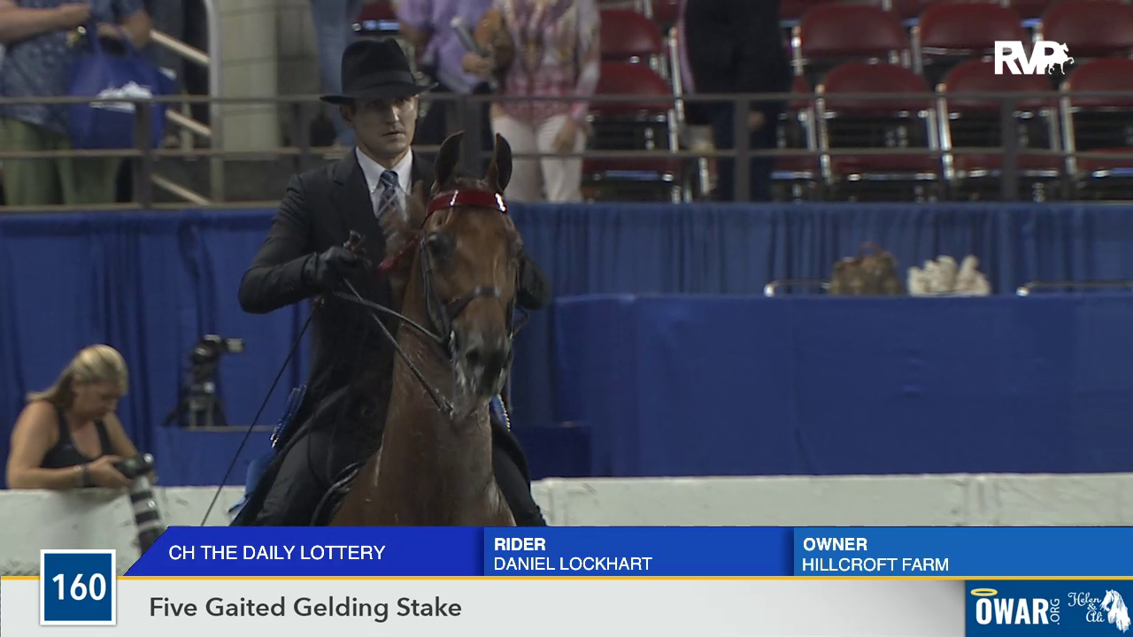 2019 World's Championship Horse Show - Wednesday Evening