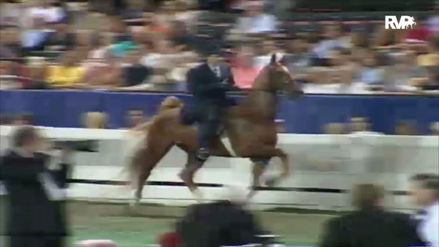 2000 WCHS Class 145 Three Gaited Over...