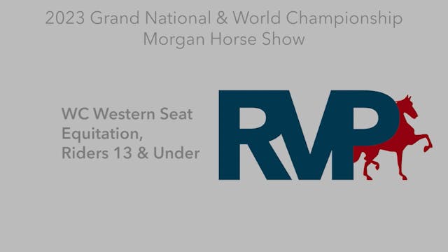 MGN23 - Class 394 - WC Western Seat E...