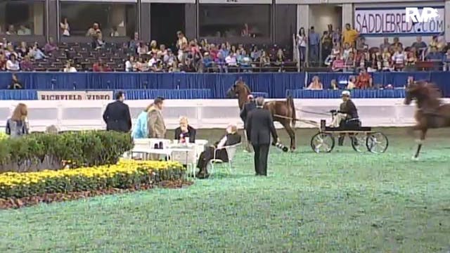 2010 World's Championship Horse Show ...