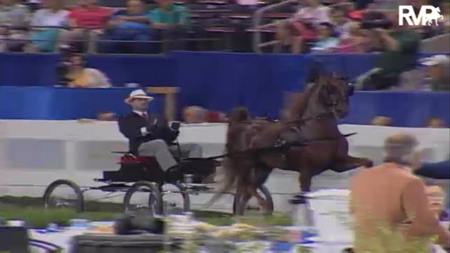 2004 World's Championship Horse Show ...