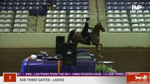 2020 SSFF - Class 5 ASB Three Gaited ...