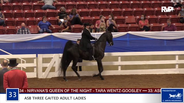 2020 BR - Class 33 ASB Three Gaited A...