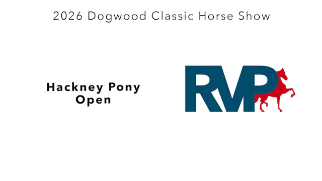 DC26 - Class 13 - Hackney Pony Open