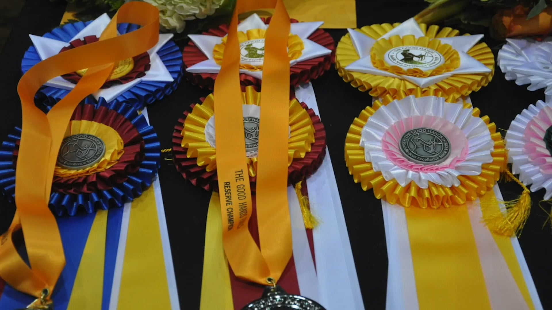002 WCHS19 Mane Event Commercial Pkg