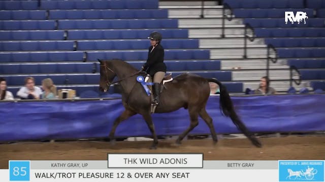 GASP23 - Class 85 - THK Wild Adonis a...