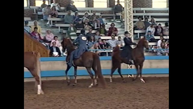 2000 Des Moines Spring Horse Show - J...