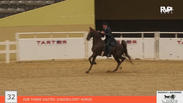 KYFC22 - Class 32 - ASB Three Gaited ...