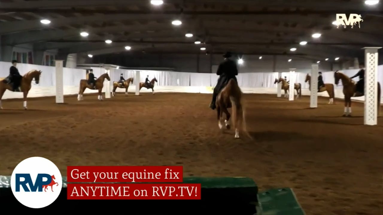2021 American Royal Horse Show Saturday Evening Richfield Video Archive