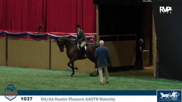 AN25 - Class 1037a - HA-AA Hunter Ple...